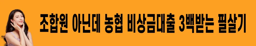 농협-nh콕-비상금대출-신청방법