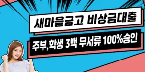 새마을금고-비상금-대출-신청방법