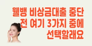 웰뱅-비상금대출