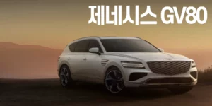 제네시스-GV80-중고차-2